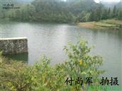 贵州省,毕节市,织金县,阿弓镇,狗场村