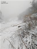 龙河村 龙河村猴年第一场大雪