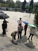 贵州省,毕节市,大方县,理化乡,果木村