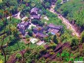 四川省,广元市,利州区,荣山镇,鱼龙村