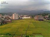 广东省,茂名市,信宜市,合水镇,清静村