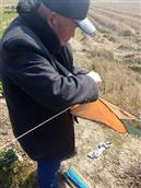 新塍社区 吕大爷放了70多年的风筝。