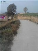 甘肃省,天水市,甘谷县,新兴镇,半屲村