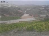 甘肃省,天水市,甘谷县,新兴镇,半屲村