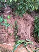 垭口村 2017年7月17日下午4点多酒房乡垭口村强降暴雨，致使多处泥石流滑坡，庄稼受损，道路不通