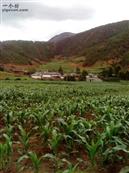 四川省,凉山州,盐源县,前所乡,中村