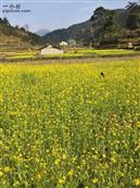 贵州省,黔东南州,黎平县,肇兴乡,新平村