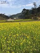 贵州省,黔东南州,黎平县,肇兴乡,新平村