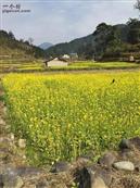 贵州省,黔东南州,黎平县,肇兴乡,新平村