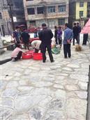 贵州省,黔东南州,黎平县,肇兴乡,新平村