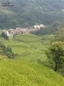 贵州省,黔东南州,黎平县,肇兴乡,新平村