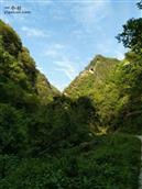 湖南省,邵阳市,武冈市,湾头桥镇,黎明村
