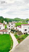 湖南省,邵阳市,武冈市,湾头桥镇,黎明村