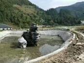贵州省,遵义市,习水县,仙源镇,福同村