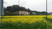 湖南省,邵阳市,新邵县,迎光乡,顺水村