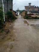 广西,贺州市,八步区,贺街镇,龙马村