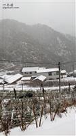 定溪村 雪景