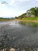 广西,贺州市,八步区,贺街镇,龙马村