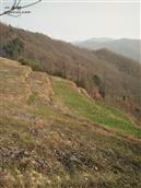 陕西省,汉中市,宁强县,青木川镇,蒿地坝村