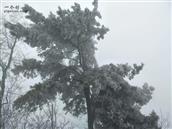 西眉山村 冬天雪景