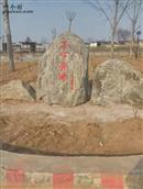 河北省,衡水市,饶阳县,留楚乡,南善旺村