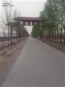 河北省,衡水市,饶阳县,留楚乡,南善旺村
