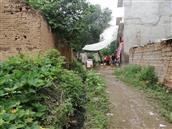 龙泉村 老房，老石，老路……亟待修整规划！！！
