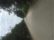 河北省,衡水市,饶阳县,留楚乡,南善旺村