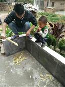 广东省,茂名市,信宜市,合水镇,清静村