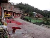 广东省,茂名市,信宜市,合水镇,清静村