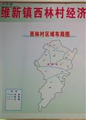 西林村 西林村地图