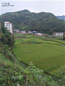湖北省,十堰市,郧西县,店子镇,北山沟村