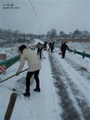 宜州村 宜州村集体参加扫雪活动