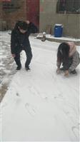 赵家庄村 雪
