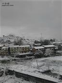 三秀社区 冬天雪景图