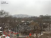 庄沟村 2019第一场雪