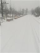 细沟村 冬日的雪
