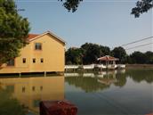 广东省,河源市,龙川县,上坪镇,石湖村