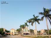 广东省,河源市,龙川县,上坪镇,石湖村