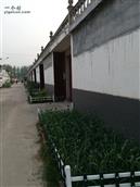 安徽省,淮北市,烈山区,宋町镇,古饶社区