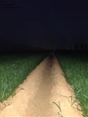 河北省,衡水市,饶阳县,大官亭镇,李岗村