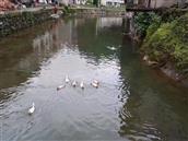 浙江省,杭州市,淳安县,浪川乡,芳梧村