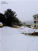 大井村 home snow