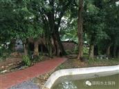 湖南省,邵阳市,武冈市,邓元泰镇,黄茅村
