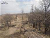 山西省,朔州市,右玉县,元堡子镇,宣阳寨村