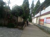 金江村 