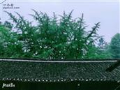 湖南省,湘西州,龙山县,洗车河镇,克洞村