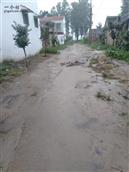 靳庄村 下雨天的主路