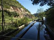 陕西省,商洛市,商南县,白浪镇,地坪村