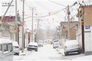 西郭村 雪后的街道